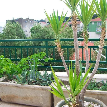 Appartement Jarak Center *